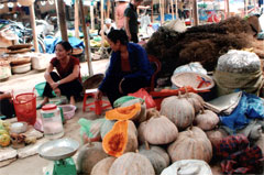 Đảng bộ phường Tân An Khai thác thế mạnh của địa phương